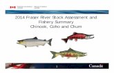 2014 Fraser River Stock Assessment and Fishery Summary ... Post-season Fraser CN CO and... · 1 2014 Fraser River Stock Assessment and Fishery Summary Chinook, Coho and Chum
