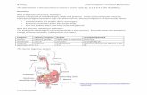 IB Biology Notes for Digestion, Circulation & Respirationtfssbio.pbworks.com/w/file/fetch/11729106/Dig Circ Resp Notes.pdf · IB Biology Notes for Digestion, Circulation & Respiration