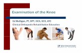 Ed Mulligan, PT, DPT, OCS, SCS, ATC Clinical Orthopedic ... Knee Examination... · Examination of the Knee Ed Mulligan, PT, DPT, OCS, SCS, ATC Clinical Orthopedic Rehabilitation Education.