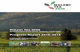 Malawi Tea 2020 1 | 24 The signing of the Malawi Tea 2020 MoU in June 2015 and the launch of the tea industry revitalisation Roadmap in September 2015 signaled the beginning of a new
