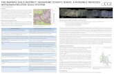 THE MURRAY GOLD DISTRICT, SHOSHONE … MURRAY GOLD DISTRICT, SHOSHONE COUNTY, ... A POSSIBLE REDUCED INTRUSION-RELATED GOLD SYSTEM ... well inboard of inferred or recognized convergent