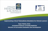 Implementing a Rural Telemedicine Simulation for Clinical ...or.himsschapter.org/sites/himsschapter/files/ChapterContent/or... · Director of Curriculum Evaluation and Development
