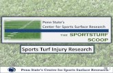 Sports Turf Injury Research - Department of Plant Scienceplantscience.psu.edu/research/centers/ssrc/documents/injuries.pdf · Sports Turf Injury Research. ... •Football: 2 studies