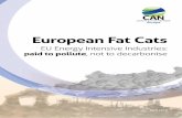 European Fat Cats - emis.vito.be · • Rather than paying for its pollution under the EU Emis- ... rise well below 2 degrees and pursue ... frameworks such as the European Semester.