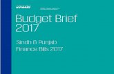 KPMG Taseer Hadi & Co. Chartered Accountants Budget Brief 2017 Bri… · KPMG Taseer Hadi & Co. Chartered Accountants Budget Brief 2017 . ... liability with SRB within the prescribed