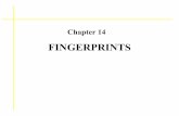 Chapter 14 FINGERPRINTS - Welcome to RCSD · History of Personal Identification • ~ 8 AD: Deliberately impressed fingerprints have been found on Chinese and Japanese documents •