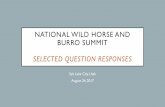 Wild Horse and BurrO Summit - Bureau of Land Management · • The National Wild Horse and Burro Summit was held in Salt Lake City, Utah on August 22 - 24, 2017 to ... the management