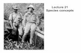 21 Species Concepts - University of California, Santa Cruzbio.classes.ucsc.edu/bio175/Lectures/21_Species_Concepts.pdf · Lecture 21 Species concepts . How many species currently