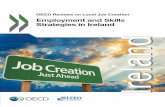 Annex A. Annex B. Ireland - The National Economic and ... · OECD Reviews on Local Job Creation Employment and Skills Strategies in Ireland