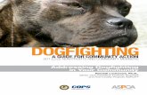 Dogfighting Community Action Guide - aspcapro.org · 6 Dogfighting: A Guide for Community Action under the Humane Act of 1835. That year, London also outlawed dogfight-ing within