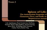 Spices of Life: The Antimicrobial Properties of Garlic ... · Spices of Life: The Antimicrobial Properties of Cinnamon, Clove, ... • Crest Pro-Health