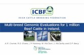 Multi-breed Genomic Evaluations for 1 million Beef Cattle ... · Multi-breed Genomic Evaluations for 1 million ... •Suckler cows & beef cattle are a key part of Irelands ... across