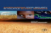 Safeguarding Food Security in Volatile Global Markets · SAFEGUARDING FOOD SECURITY IN VOLATILE GLOBAL MARKETS 523. ... farmers to resume or intensify ... SAFEGUARDING FOOD SECURITY