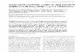 Array-CGH identiﬁes cyclin D1 and UBCH10 amplicons in ...erc.endocrinology-journals.org/content/15/3/801.full.pdf · Array-CGH identiﬁes cyclin D1 and UBCH10 amplicons in anaplastic