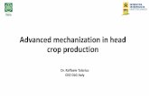 Advanced mechanization in head crop production: SALAD · Advanced mechanization in head crop production Dr. Raffaele Talarico CEO DLG Italy •