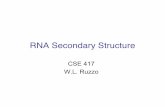 RNA Secondary Structure - courses.cs.washington.educourses.cs.washington.edu/courses/cse417/06wi/slides/06dp-rna.pdf · •E.g. “riboswitches”: thousands in bacteria. DNA structure: