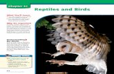 Chapter 31: Reptiles and Birds - CoconinoHighSchool · Reptiles and Birds Visit to • study ... Reptiles 31.1 SECTION PREVIEW ... Organize Information As you read Chapter 31, list