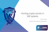 Hunting crypto secrets in SAP systems · material in SAP environments. Common Crypto Lib SNC (Secure Network Connections) TLS/SSL for HTTPS services SSF (Secure Store and Forward)