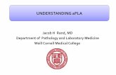 Jacob H Rand, MD Department of Pathology and Laboratory ... · Department of Pathology and Laboratory Medicine Weill Cornell Medical College ... BFP syphilis 1980’s ... Lockshin