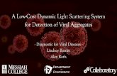 A Low-Cost Dynamic Light Scattering System for Detection ... · A Low-Cost Dynamic Light Scattering System for Detection of Viral Aggregates - Diagnostic for Viral Diseases - Lindsey