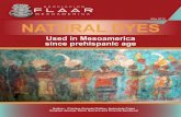 May 2010 NATURAL DYES - Maya Archaeology · obtained by minerals, plants (stem, leaves, seeds, fruits), insects (like the cochinilla or woodlouse ... NATURAL DYES Used in Mesoamerica