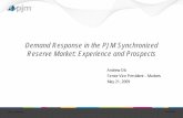 Demand Response in the PJM Synchronized Reserve … · Demand Response in the PJM Synchronized Reserve Market: Experience and Prospects ... EMS=Energy Management System. Web ... Consistently