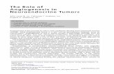 The Role of Angiogenesis in Neuroendocrine Tumors · The Role of Angiogenesis in Neuroendocrine Tumors John Lyons III, MD, Catherine T. Anthony, PhD, Eugene A. Woltering, MD* Angiogenesis