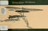I Quetico Fishes - COnnecting REpositoriescore.ac.uk/download/pdf/6084790.pdf · IDO CO s — **O GC 1 — — CD 2 r ... thatwesponsortheresearchandreportingbyDr.E.J.Crossman,which