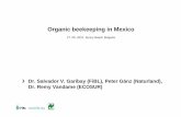 Organic beekeeping in Mexico - orgprints.orgorgprints.org/.../First_Wolrd_Conference_ORGANIC_BEEKEEPING_IN_… · Organic beekeeping in Mexico: Introduction (1) Mexico is often described