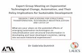Expert Group Meeting on Exponential Technological Change ... · Technological Change, Automation, ... the timing of the ... make up the institutional framework and the rules