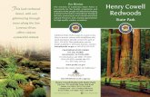 Our Mission Henry Cowell Redwoods · Fall Creek and Henry Cowell Fall Creek Unit, the northern section of Henry Cowell Redwoods State Park, is located about a mile west of the town