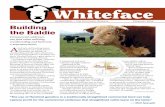 the Whiteface - Love From The Other Side · weight of the F1 calves, 450 be the average weaning weight of the Breed A population and 550 be the average weaning weight of the sire’s