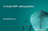 A simple SNP calling pipeline - EMBL-EBI · First... convert alignments (using SAMtools) 1. Convert SAM to BAM for sorting samtools view -S -b my.sam > my.bam 2. Sort BAM for SNP