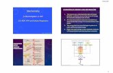 OVERVIEW OF ENERGY AND METABOLISM Biochemistryitbe.hanyang.ac.kr/wp-content/uploads/2017/08/BME-biochem-5-1-ATP... · Biochemistry 5.1) ADP, ATP and ... Bio-Energetics & ATP OVERVIEW