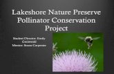Lakeshore Nature Preserve Pollinator Conservation Project · Project Student Director: Emily Greinwald ... Hymenoptera are the most prevalent flower visitors ... Diversity Distribution.