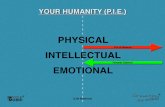 YOUR HUMANITY (P.I.E.) - Bandworld · The Breathing Gym® Sequence Stretches Workout Therapies Relaxed Flow Relaxed Flow Form COMFORTABLE SHAPE EVEN CONSTANT TURN AROUND Oh Whoa In