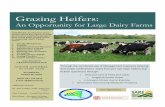 Grazing Heifers - Cornell Small Farms Programsmallfarms.cornell.edu/files/2012/04/new-booklet-vquejb.pdf · Grazing Heifers: An Opportunity for ... An Opportunity for Large Dairy