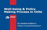 Well-being & Policy Making Process in Chile - OECD.org · Well-being & Policy Making Process in Chile M. Soledad Arellano S. ... POSITIVE AGING POLICY 19 •Besides the “traditional”