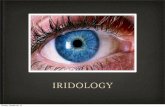 IRIDOLOGY - Hawthorn & Violet Naturopathic Servicesearthwisehealing.weebly.com/uploads/3/7/2/6/3726858/iridology.pdf · Iridology • Deﬁnition- the study of the iris of the eye