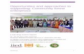 Opportunities and approaches to supporting: Community ...pubs.iied.org/pdfs/G04184.pdf · 3.2 Existing forest business ... The group specialises in fish ... are currently selling