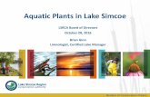 Aquatic Plants in Lake Simcoe Presentation - lsrca.on.ca Documents/board/presentation_2016... · Member of Conservation Ontario Aquatic Plants in Lake Simcoe Brian Ginn Limnologist,