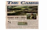 history/1999 11 25 Cambrian, seals, ranger... · least a quarter of his working hours patrolling the elephant seal rookery areas at Piedras Blancas. He backs up the vol- unteer docents,