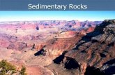 Sedimentary Rocks - pams7thscience.wikispaces.com · states that younger rocks are deposited on top of older ones. ... of sedimentary rocks in distinct layers ... Not found in other