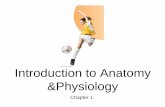 Introduction to Anatomy &Physiology - IWS.COLLIN.EDUiws.collin.edu/ngrose/F2011 BIOL2401/Martini Chapter 1.pdf · Integration of Anatomy & Physiology ... Copyright 0 2010 Pearson