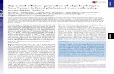 Rapid and efficient generation of oligodendrocytes from ... · Rapid and efficient generation of oligodendrocytes from human induced pluripotent stem cells using transcription factors