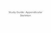 Study Guide: Appendicular Skeleton - .Study Guide: Appendicular Skeleton . WHAT BONES MAKE UP THE
