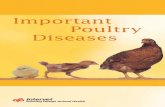 Important Poultry Diseases - disease handbook   · IMPORTANT POULTRY DISEASES Contents Foreword