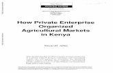 How Private Enterprise Organized Agricultural Markets … · How Private Enterprise Organized Agricultural Markets in Kenya ... related to the private sector and agricultural processing