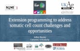 Extension programming to address somatic cell count ... · Extension programming to address somatic cell count challenges and opportunities . Impacts of mastitis felt throughout the