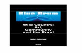 Wild Country: Art, Community and the Rural - bluedrum.ie · Wild Country: Art, Community and the Rural John Mulloy 2009 . ... prepared to enter into the spirit of the ... and feelings